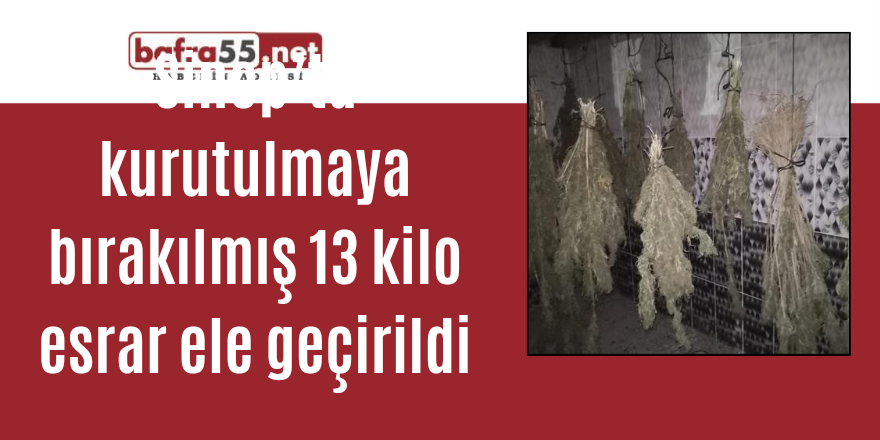 Sinop’ta kurutulmaya bırakılmış 13 kilo esrar ele geçirildi