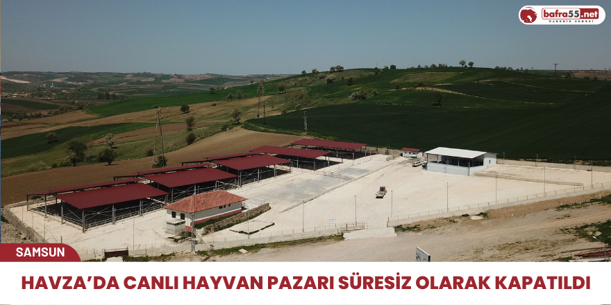 Canlı hayvan pazarında şap tehlikesi