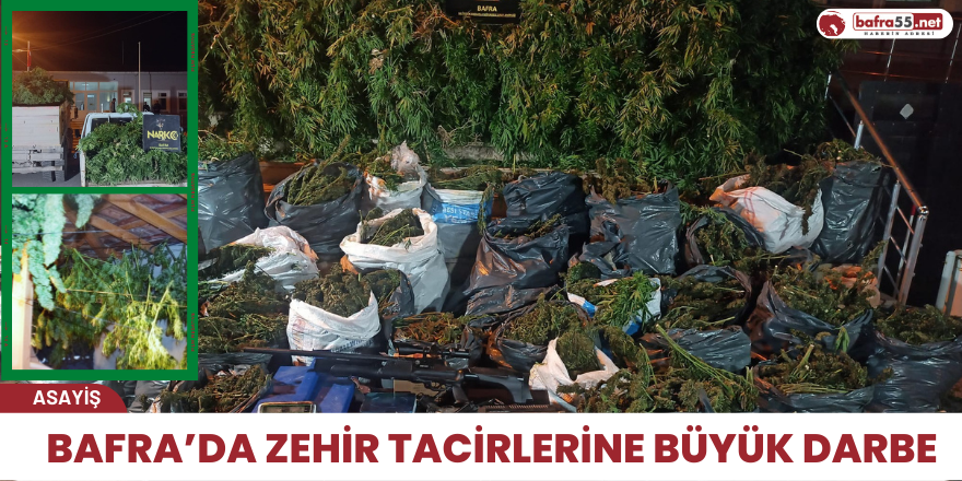 Bafra’da zehir tacirlerine büyük darbe