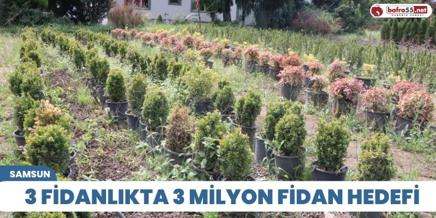 3 fidanlıkta 3 milyon fidan hedefi