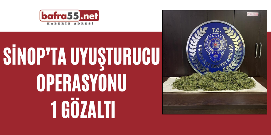 Sinop’ta uyuşturucu operasyonu: 1 gözaltı