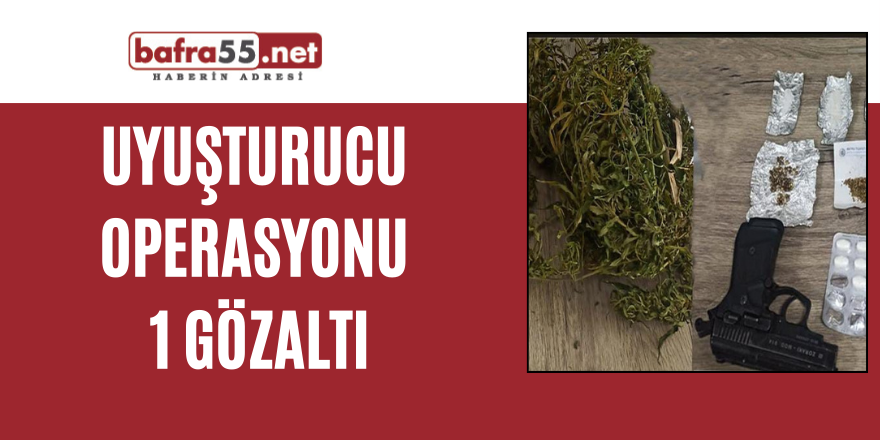 Uyuşturucu operasyonu: 1 gözaltı