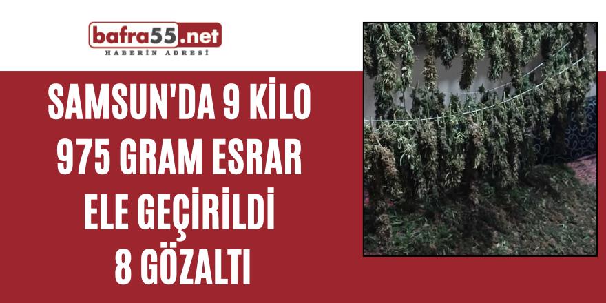 Samsun'da 9 kilo 975 gram esrar ele geçirildi: 8 gözaltı