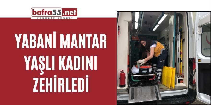 Yabani mantar yaşlı kadını zehirledi