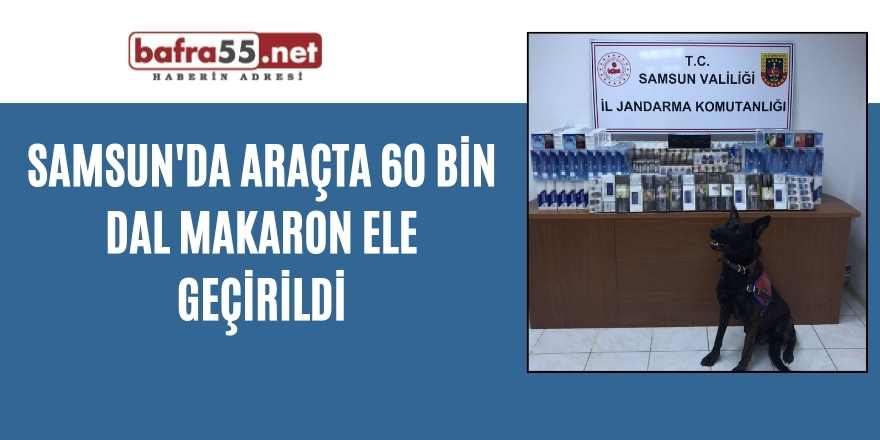 Samsun'da araçta 60 bin dal makaron ele geçirildi