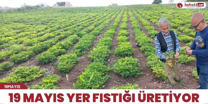 19 MAYIS YER FISTIĞI ÜRETİYOR