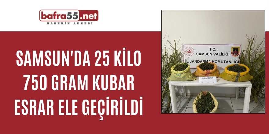 Samsun'da 25 kilo 750 gram kubar esrar ele geçirildi