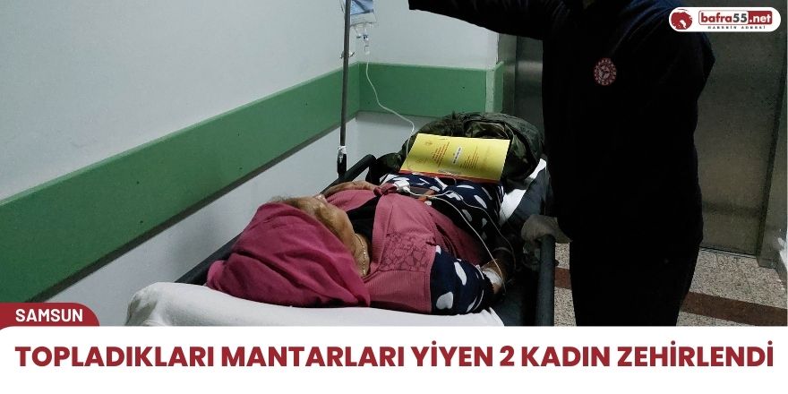 Topladıkları mantarı yiyen 2 kadın zehirlendi