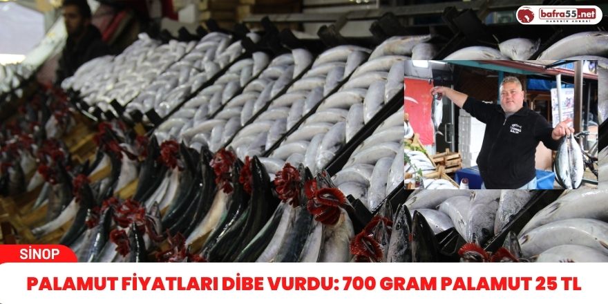 Palamut fiyatları dibe vurdu: 700 gram palamut 25 TL