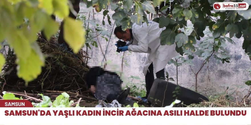 Samsun'da yaşlı kadın incir ağacına asılı halde bulundu