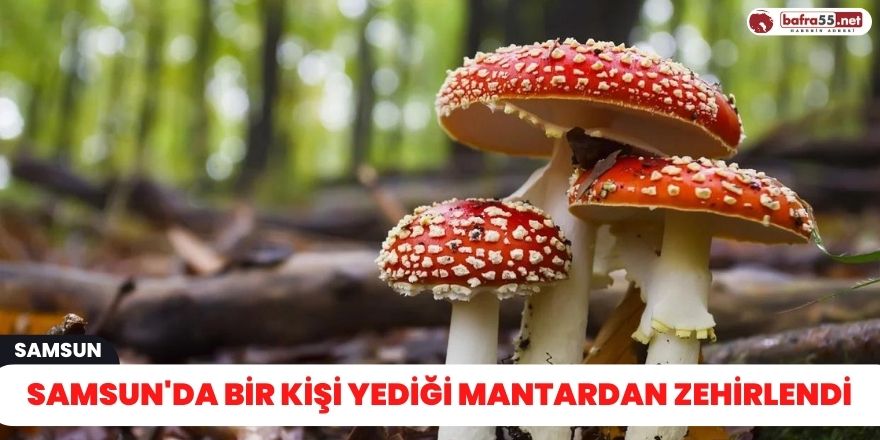 Samsun'da bir kişi yediği mantardan zehirlendi