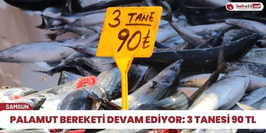 Palamut bereketi devam ediyor: 3 tanesi 90 TL