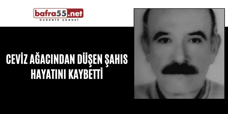 Ceviz ağacından düşen şahıs hayatını kaybetti