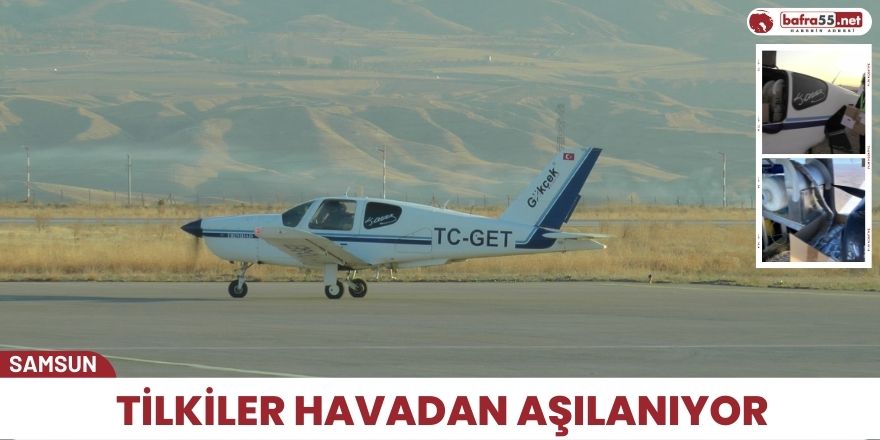 Tilkiler havadan aşılanıyor