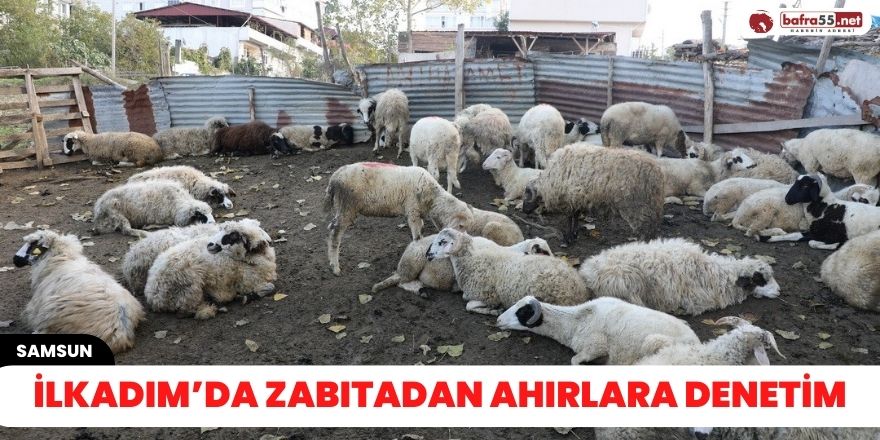 İlkadım’da zabıtadan ahırlara denetim