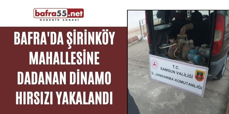 Bafra'da Şirinköy mahallesine dadanan dinamo hırsızı yakalandı