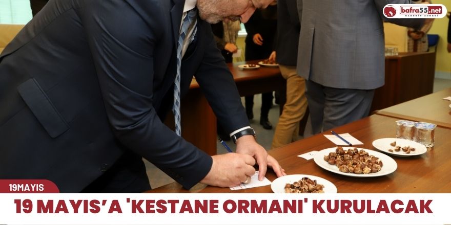 19 Mayıs’a 'kestane ormanı' kurulacak