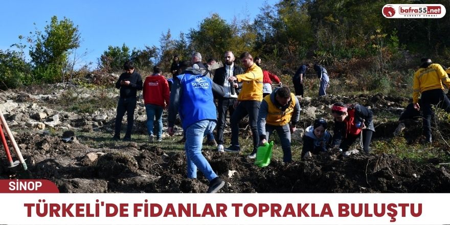 Türkeli'de fidanlar toprakla buluştu