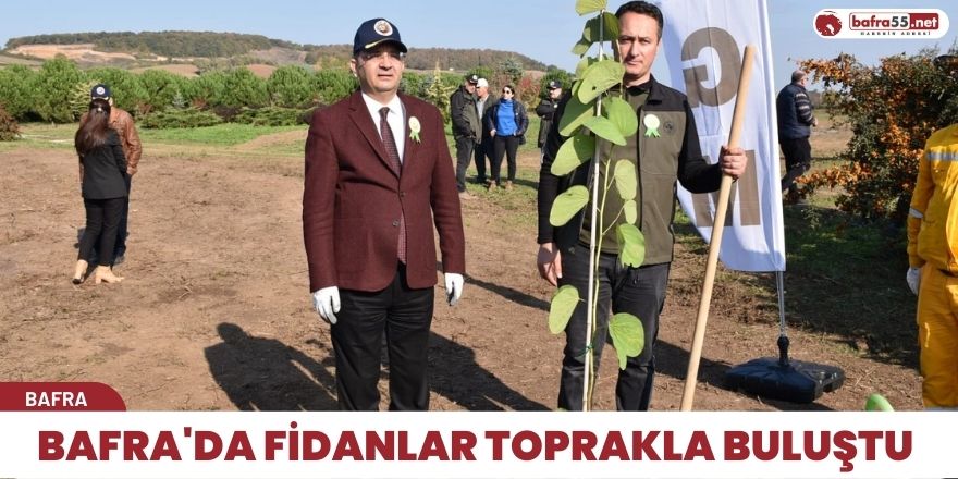 Bafra'da fidanlar toprakla buluştu