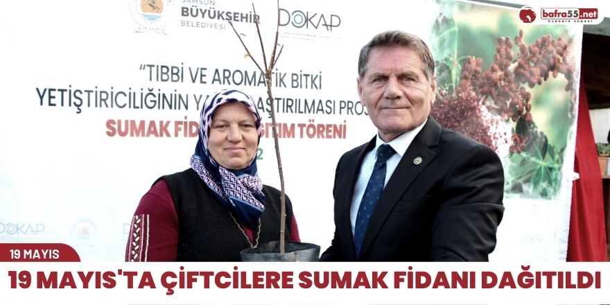 19 Mayıs'ta çiftcilere sumak fidanı dağıtıldı