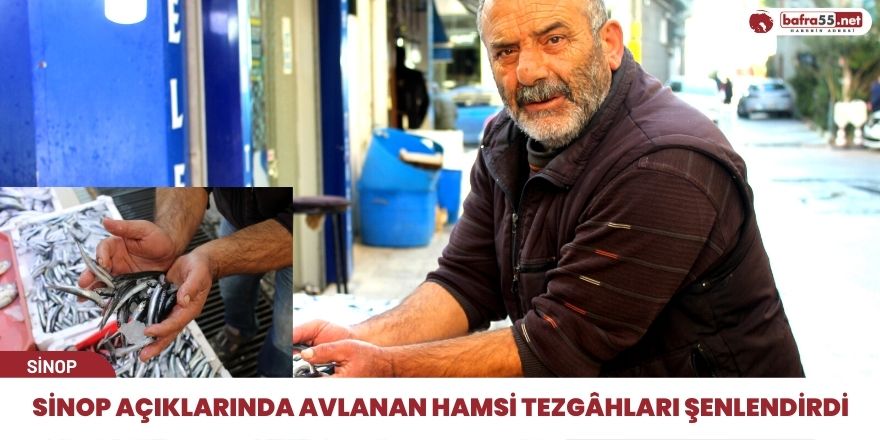 Sinop açıklarında avlanan hamsi tezgâhları şenlendirdi