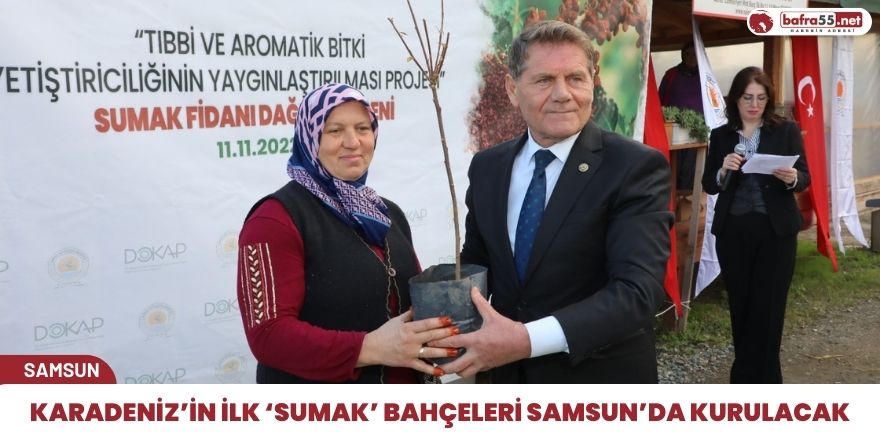 Karadeniz’in ilk ‘sumak’ bahçeleri Samsun’da kurulacak