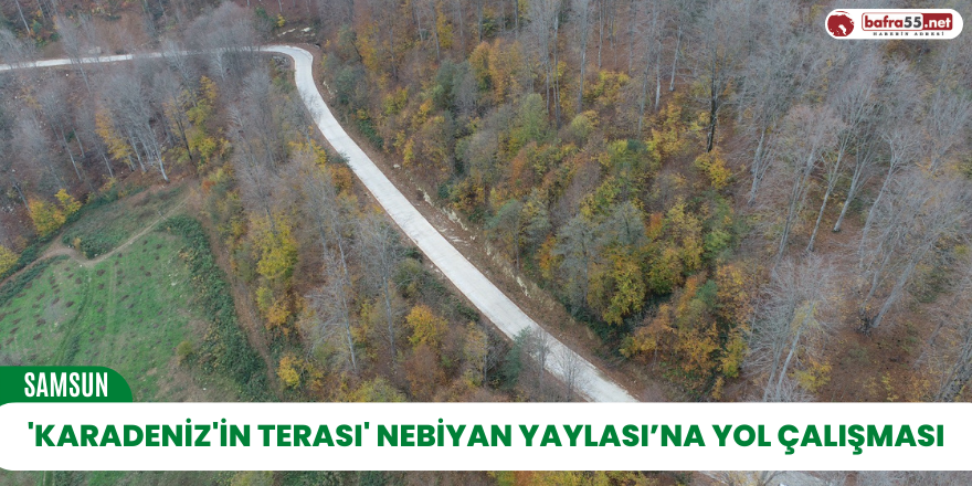 'Karadeniz'in Terası' Nebiyan Yaylası’na yol çalışması