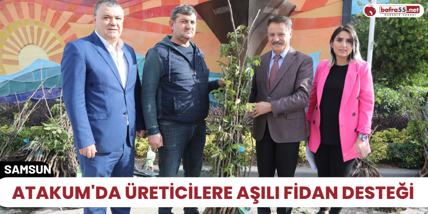 Atakum'da üreticilere aşılı fidan desteği