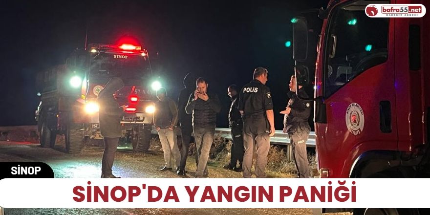 Sinop'da yangın paniği