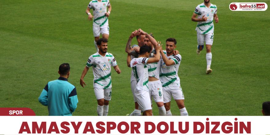 Amasyaspor dolu dizgin