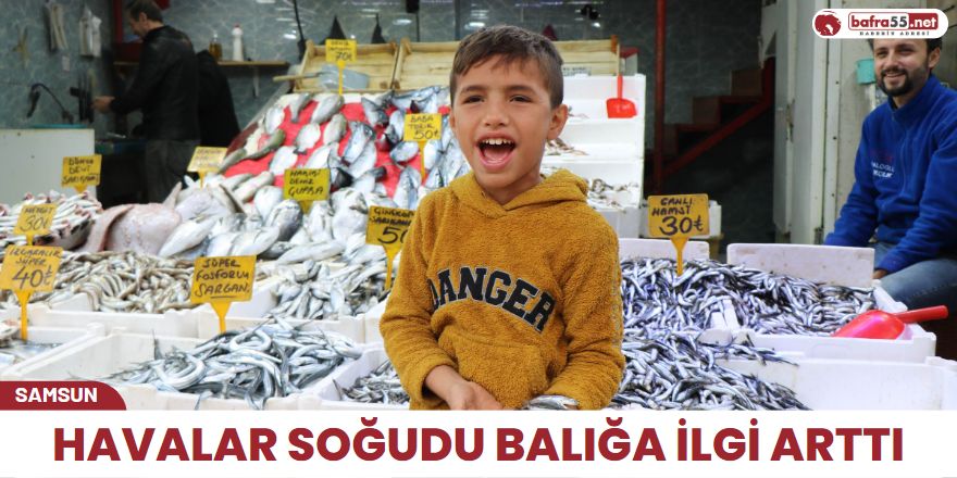 Havalar soğudu balığa ilgi arttı