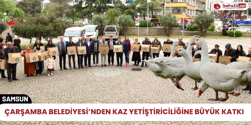 Çarşamba Belediyesi’nden kaz yetiştiriciliğine büyük katkı