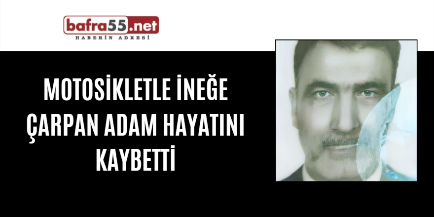 Motosikletle ineğe çarpan adam hayatını kaybetti