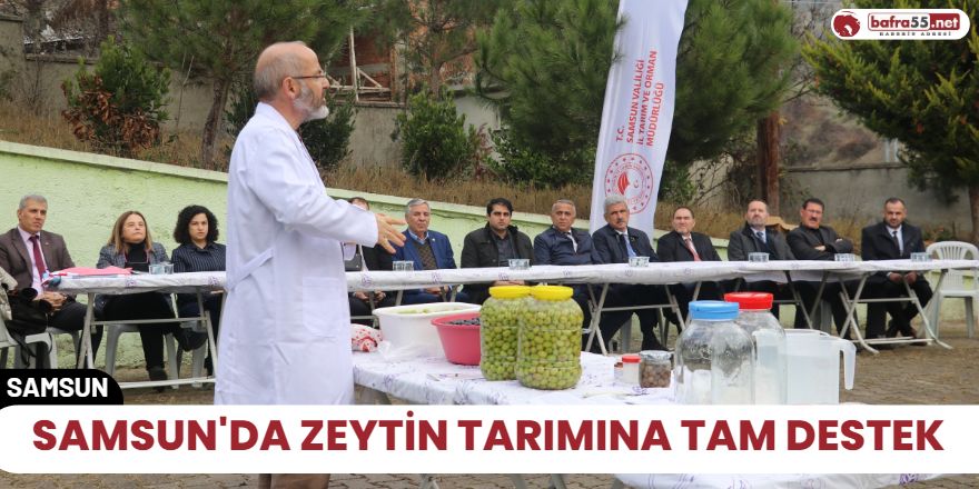 Samsun'da zeytin tarımına tam destek