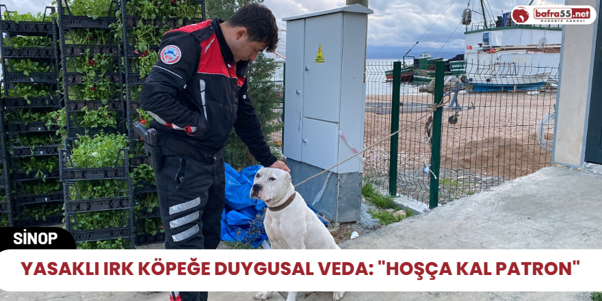 Yasaklı ırk köpeğe duygusal veda: "Hoşça kal Patron"