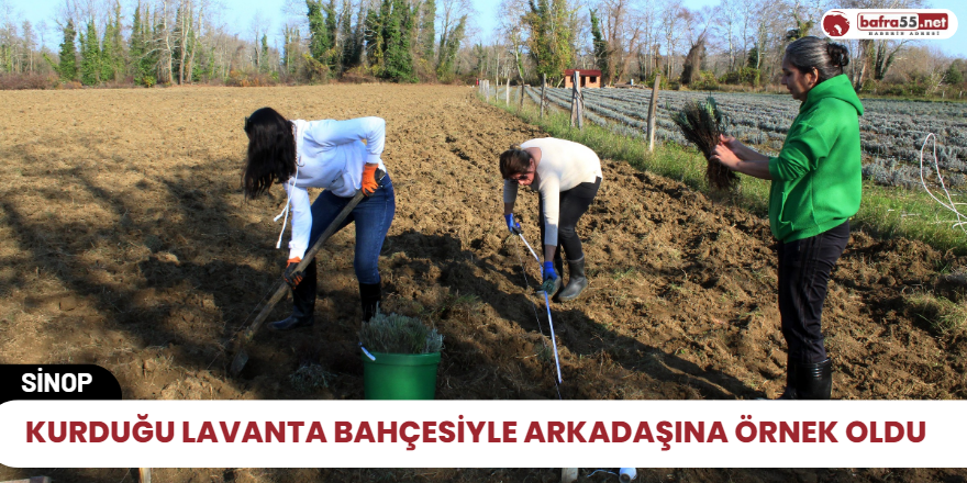 Kurduğu lavanta bahçesiyle arkadaşına örnek oldu