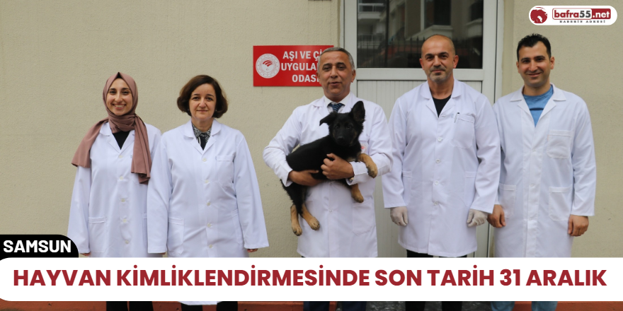 Hayvan kimliklendirmesinde son tarih 31 Aralık