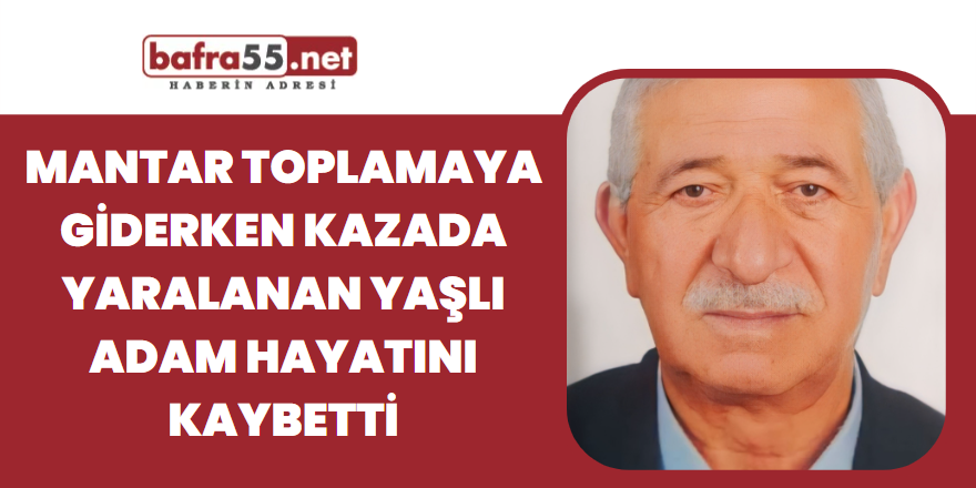 Mantar toplamaya giderken kazada yaralanan yaşlı adam hayatını kaybetti