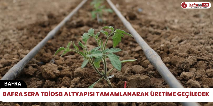 Bafra Sera TDİOSB altyapısı tamamlanarak üretime geçilecek