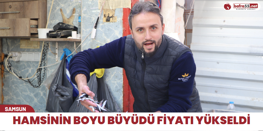 Hamsinin boyu büyüdü fiyatı yükseldi