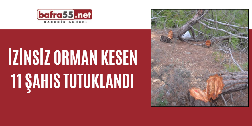 İzinsiz orman kesen 11 şahıs tutuklandı