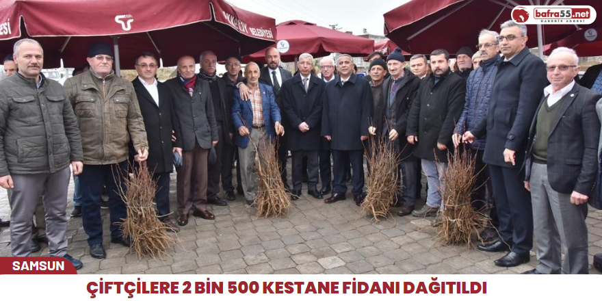 Çiftçilere 2 bin 500 kestane fidanı dağıtıldı