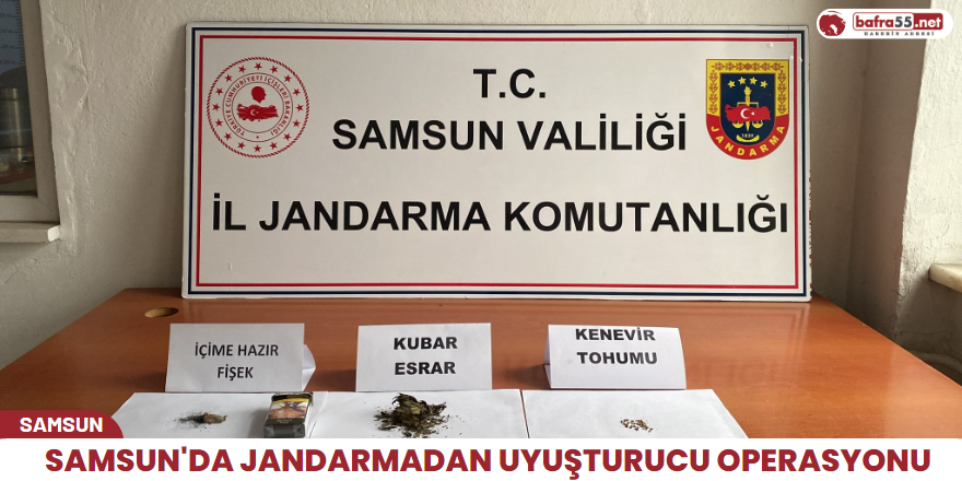 Samsun'da jandarmadan uyuşturucu operasyonu