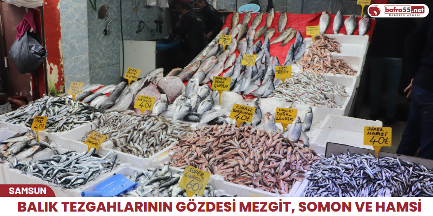 Balık tezgahlarının gözdesi mezgit, somon ve hamsi