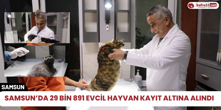 Samsun’da 29 bin 891 evcil hayvan kayıt altına alındı