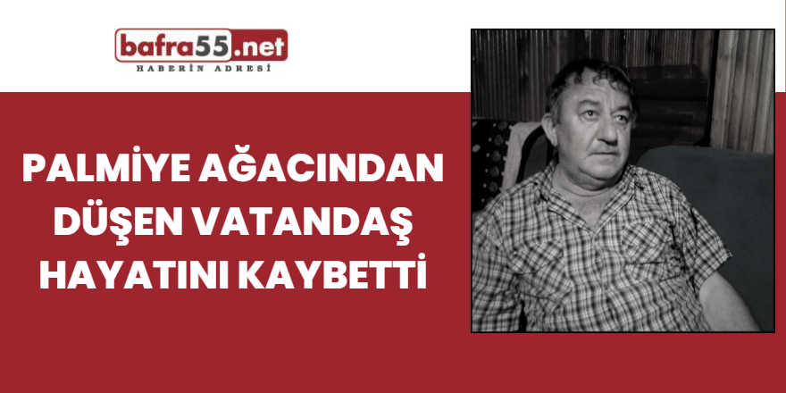 Palmiye ağacından düşen vatandaş hayatını kaybetti