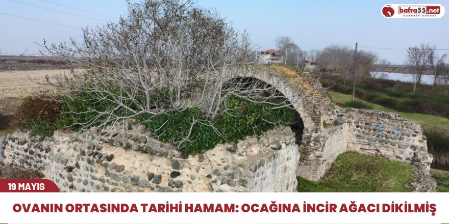 Ovanın ortasında tarihi hamam: Ocağına incir ağacı dikilmiş