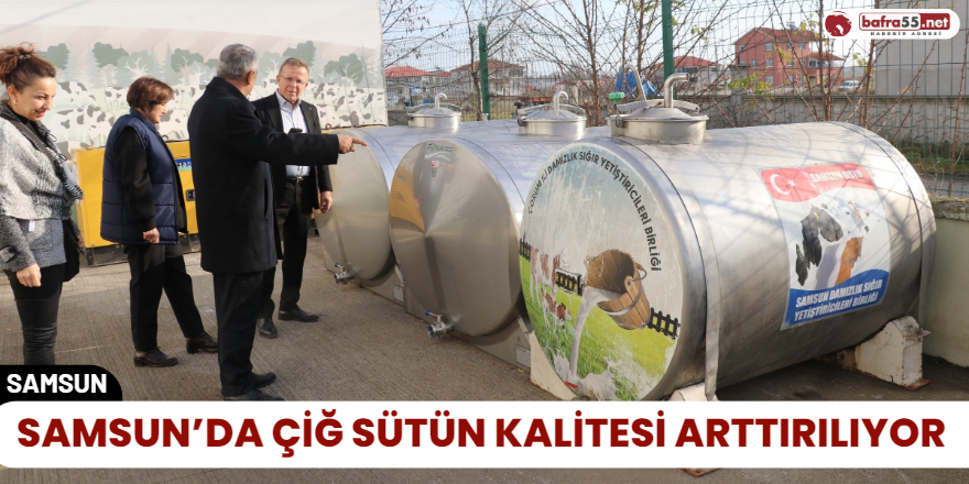 Samsun’da çiğ sütün kalitesi arttırılıyor