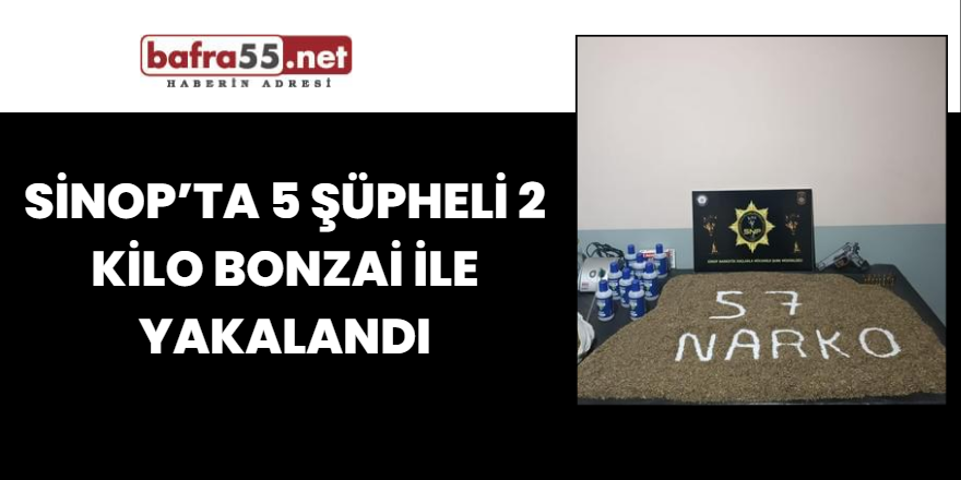Sinop’ta 5 şüpheli 2 kilo bonzai ile yakalandı
