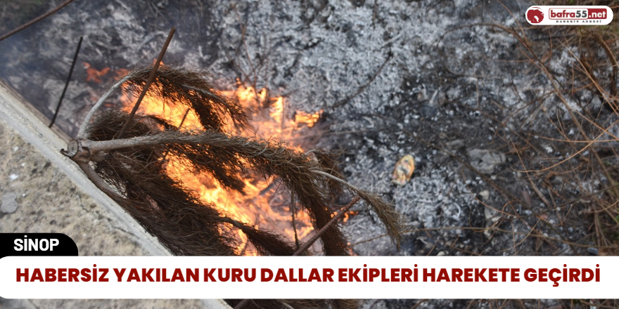 Habersiz Yakılan Kuru Dallar Ekipleri Harekete Geçirdi